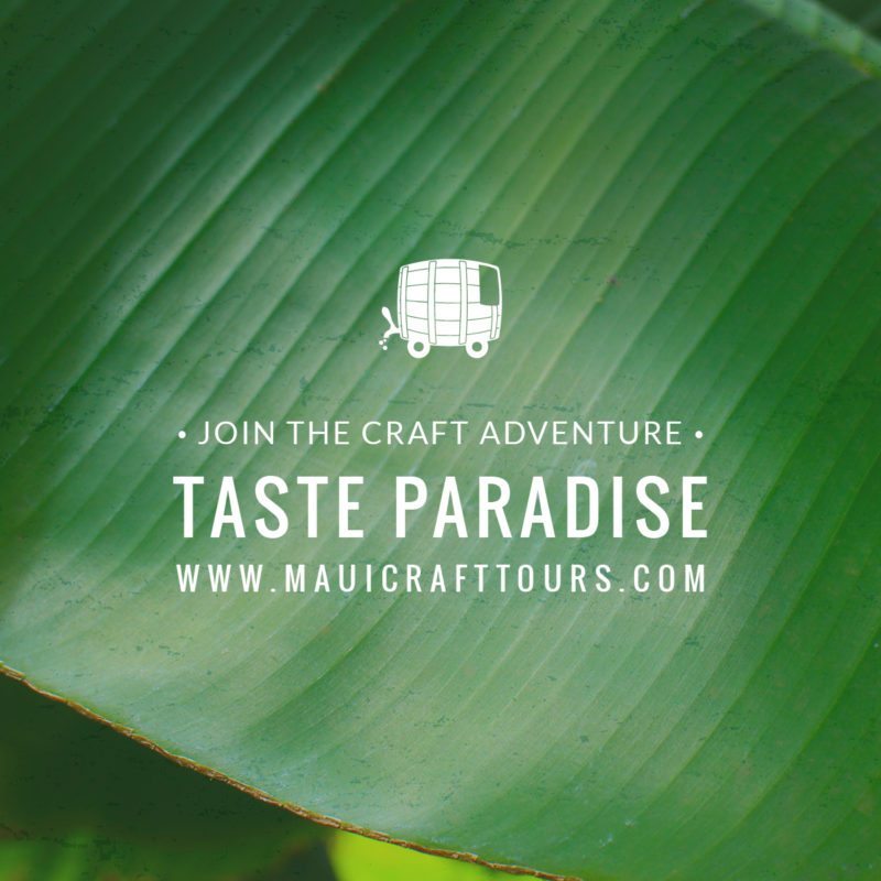 Small Business Branding for Maui Craft Tours | Doodle Dog