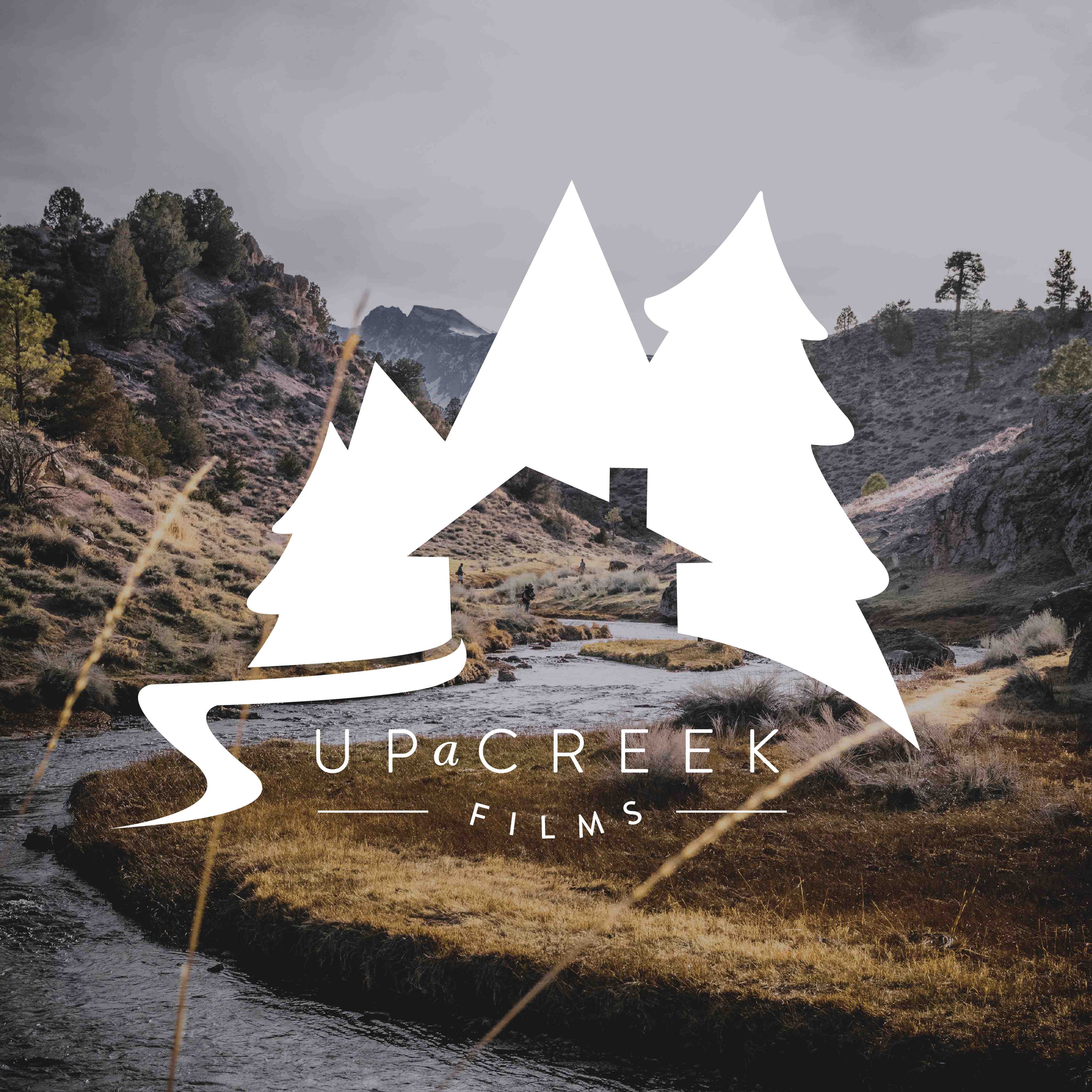 brand design videographer