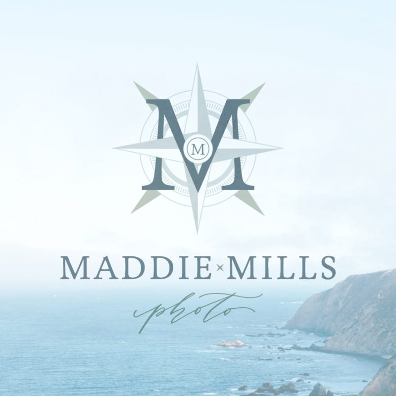 Branding for Wedding Professionals: Maddie Mills Photo | Doodle Dog