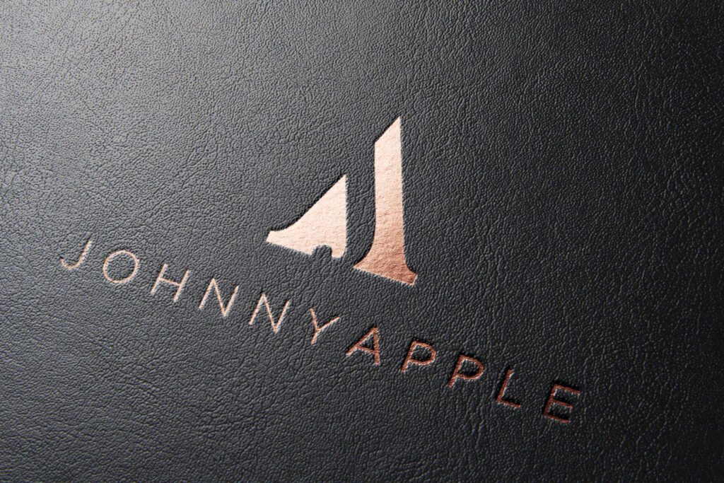 dallas webdesigner, logo designer dallas